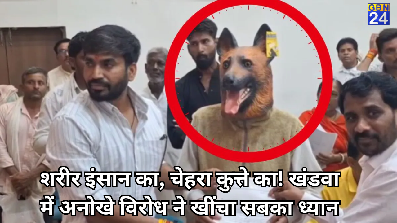 MP Dog News